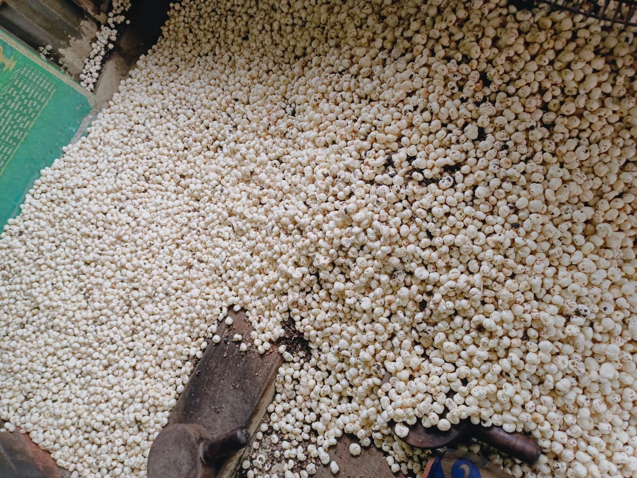 मखान की खेती